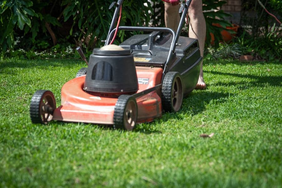 Jardinage